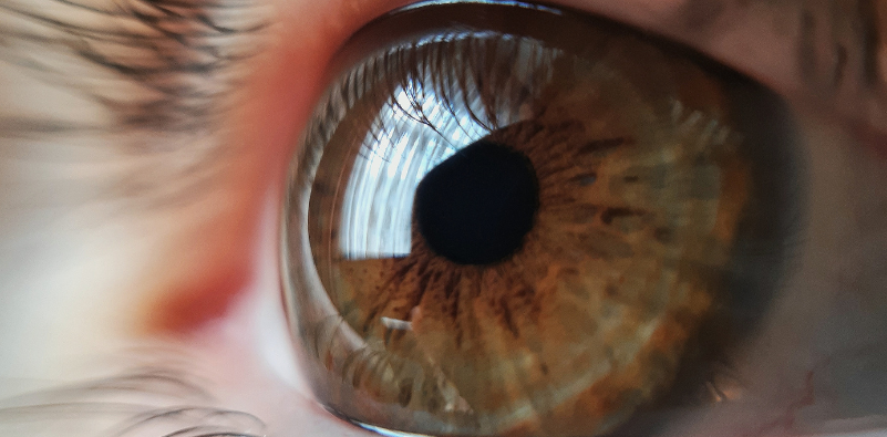 Extreme close-up of a brown eye with light reflected across the cornea.